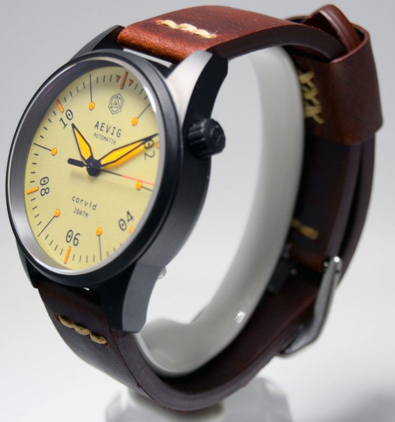 aevig-corvid