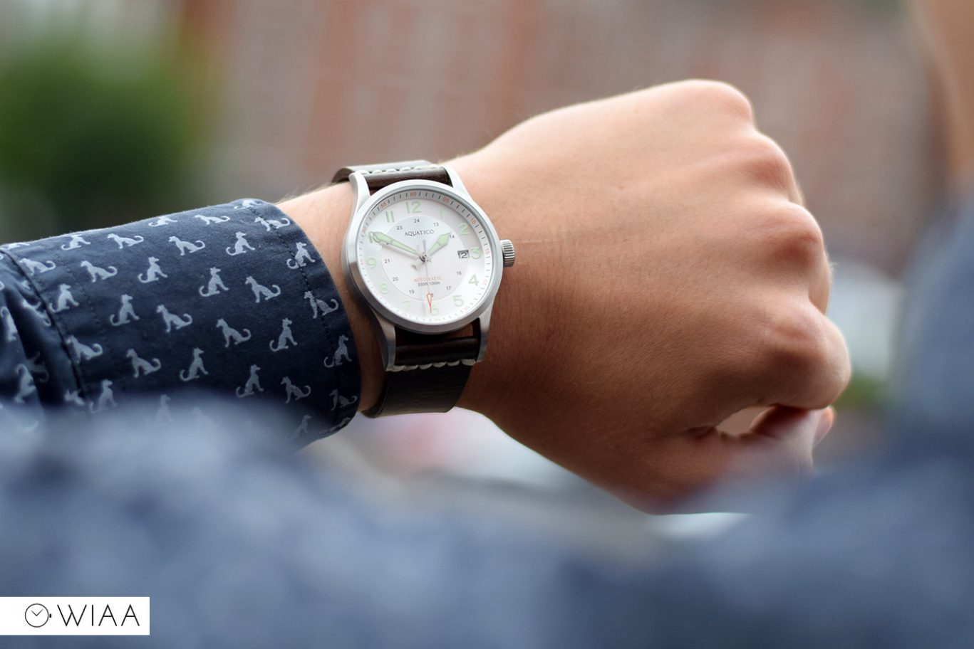 Aquatico Blue Angels Watch Review 12&60