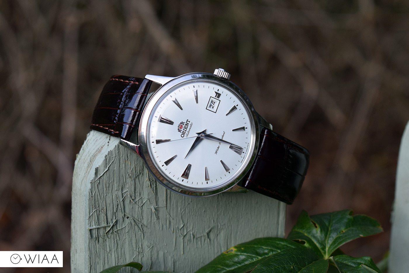 Orient bambino 2nd generation best sale version 1