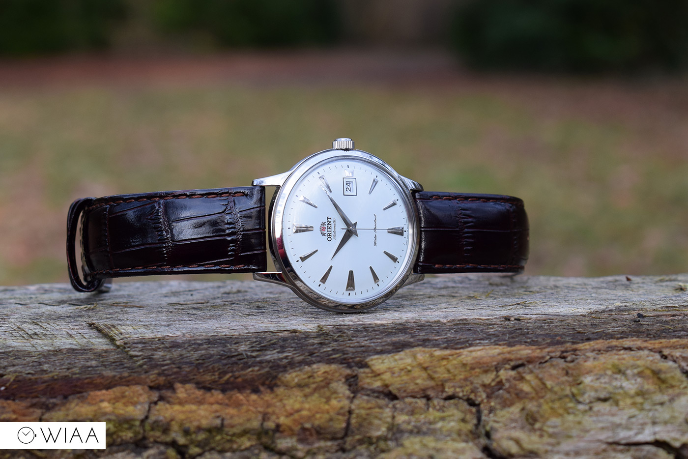 Orient bambino best sale 1st gen