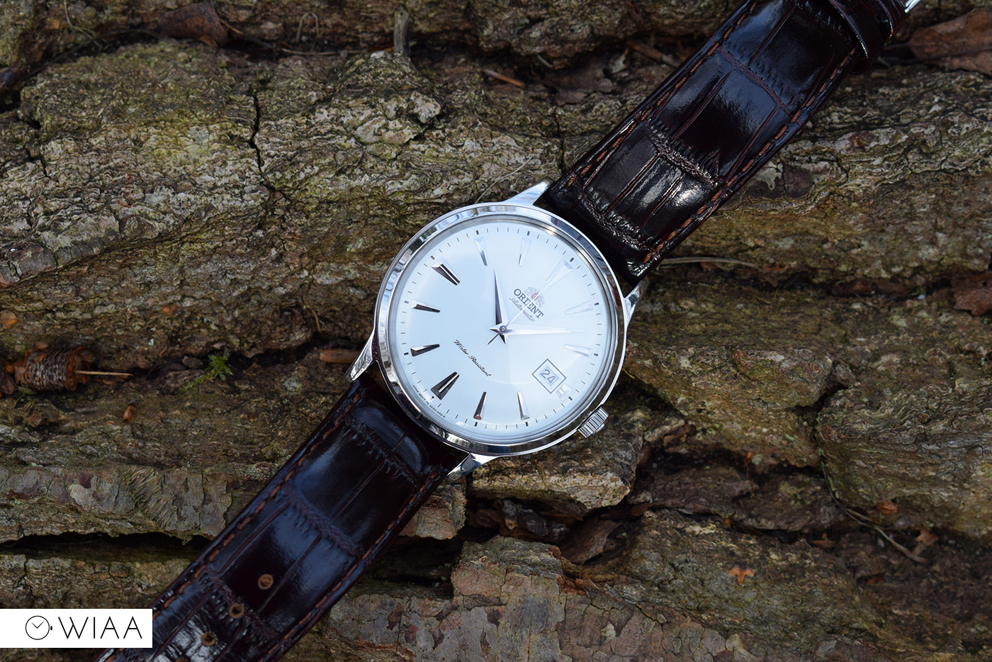 Orient bambino hotsell 5th generation