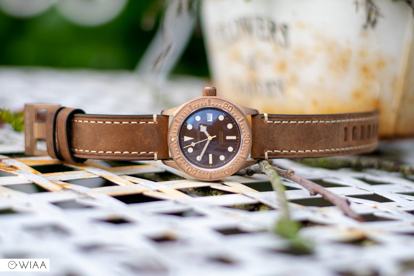 Aquatico Bronze Sea Star Brown Watch Review 12&60