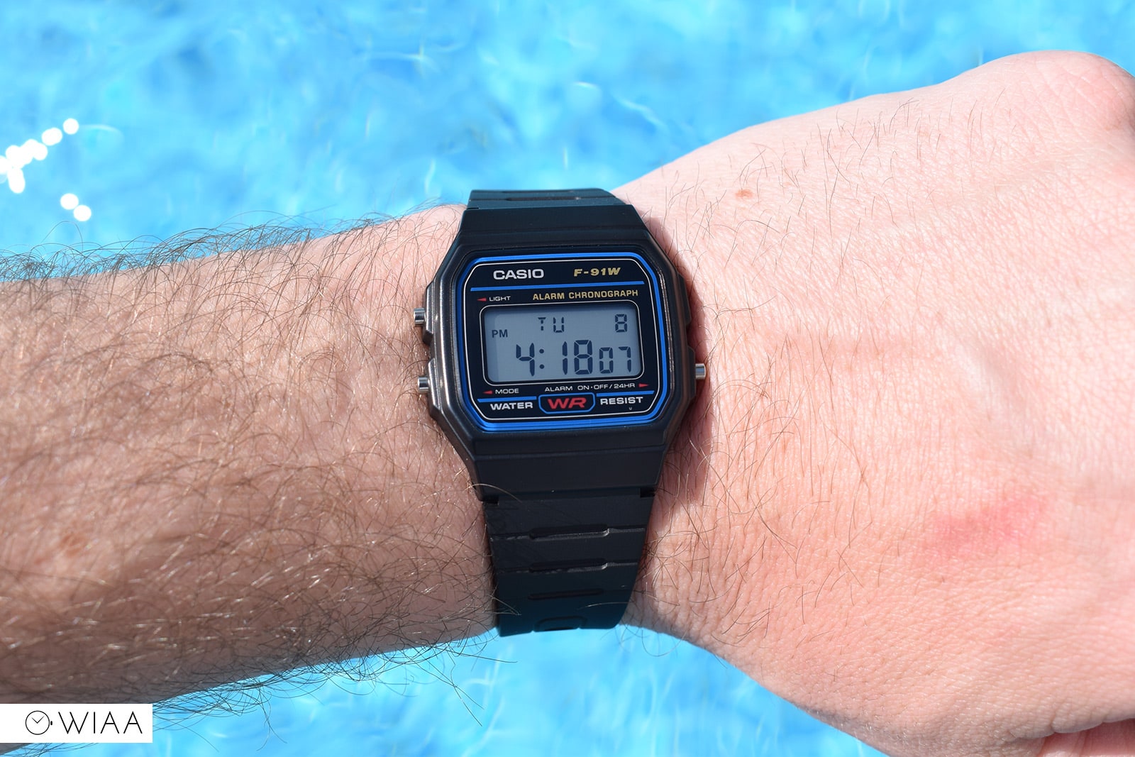 Casio F91W-1 Classic Resin Strap Digital Sport Watch : : Fashion