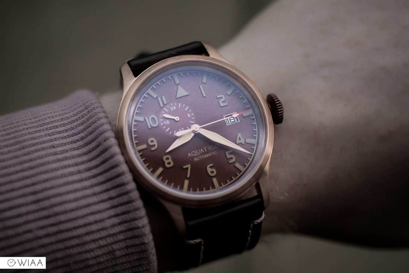 Aquatico Bronze Blue Angels Watch Review 12&60
