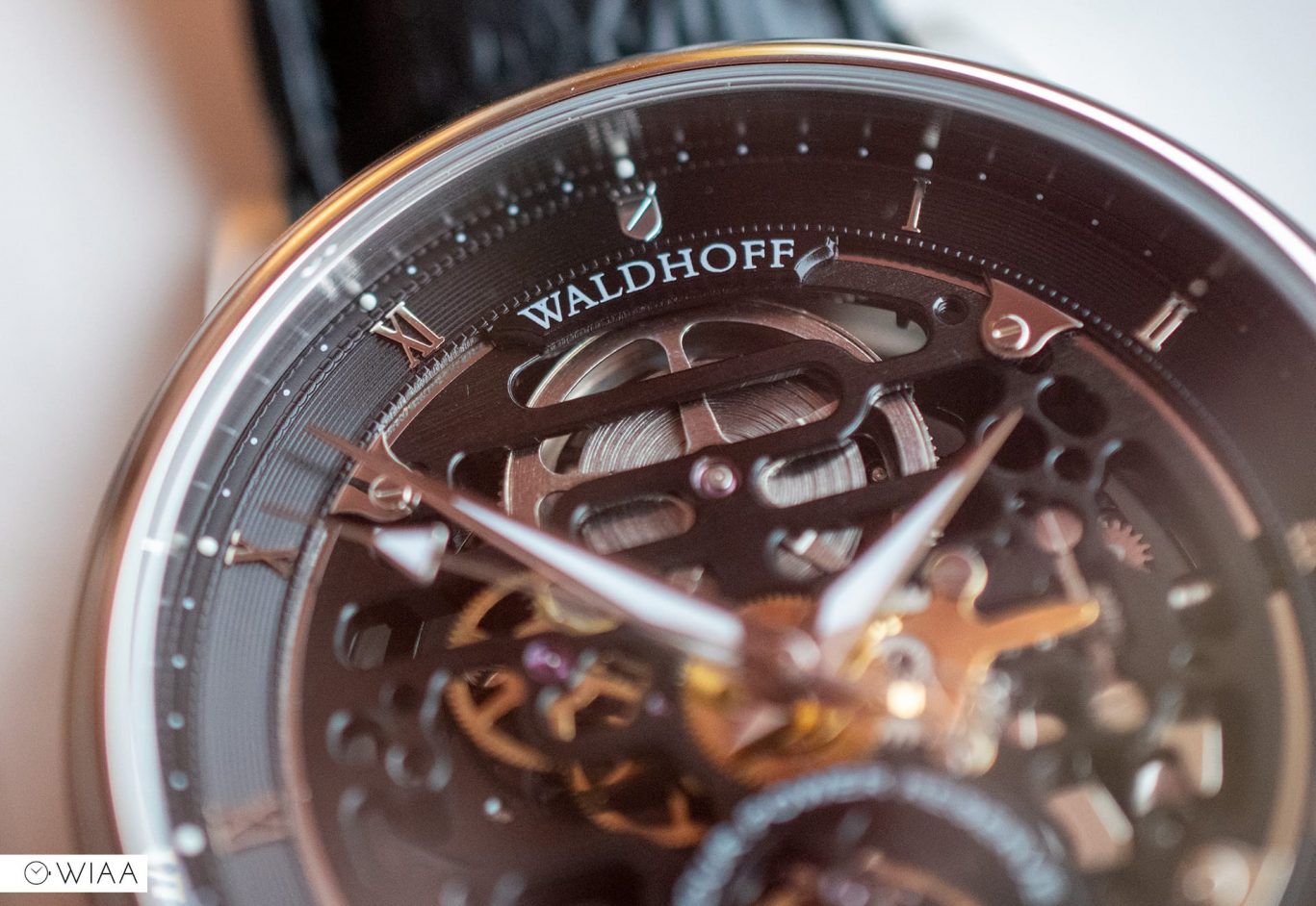 Manufaktur Waldhoff Capital Obsidian Watch Review 12&60