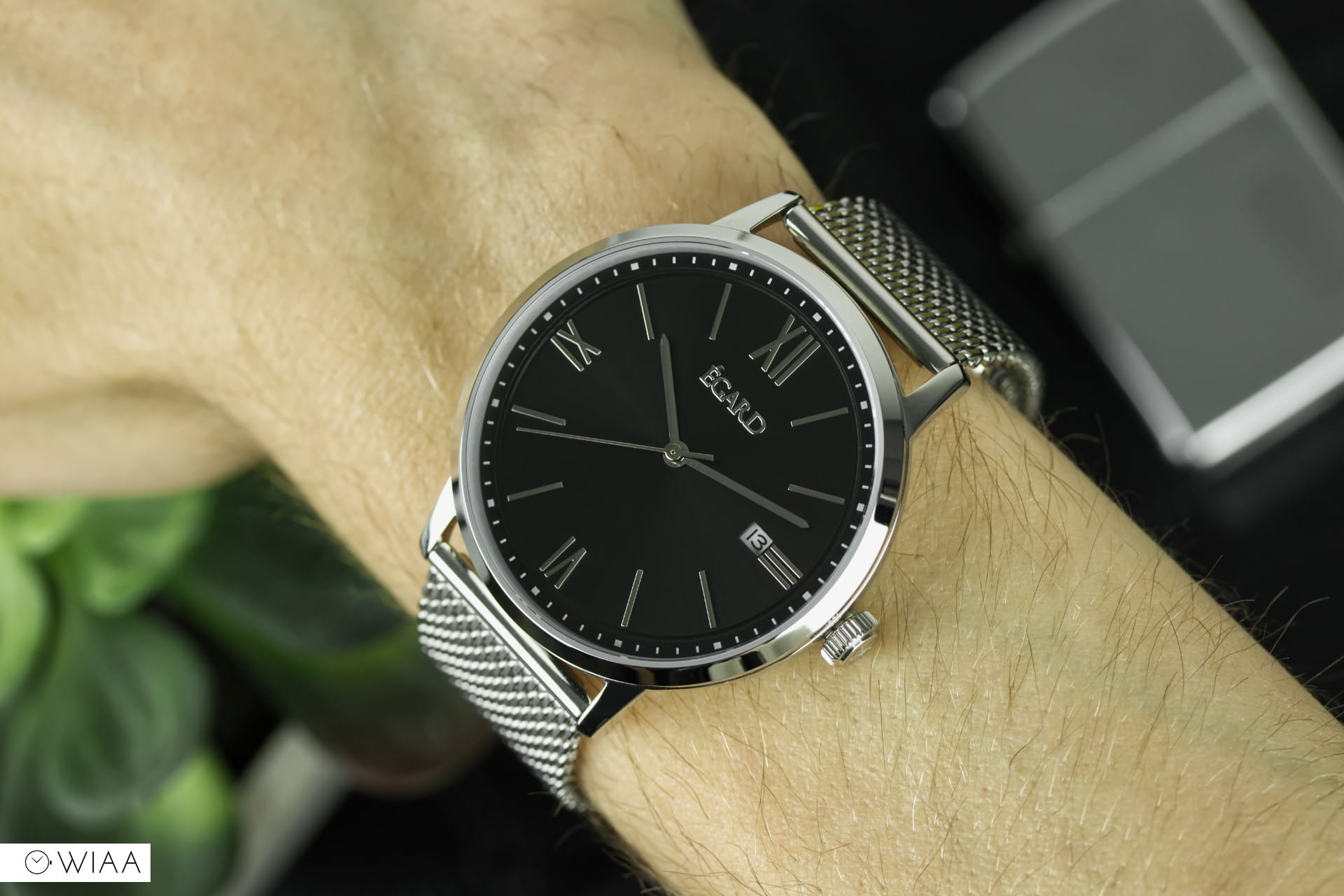 Egard V1 C Watch Review 12 60