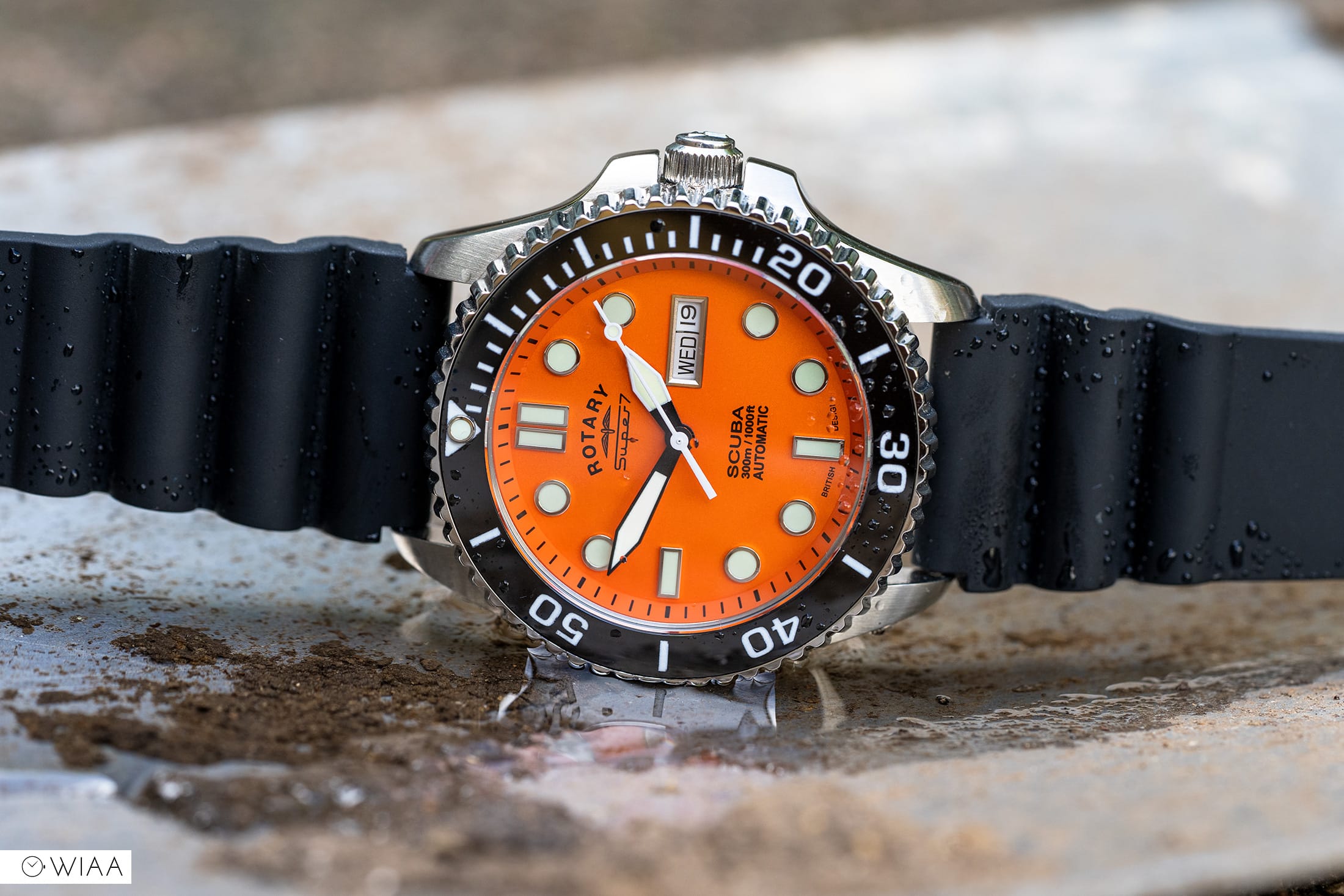 Rotary dive outlet watch