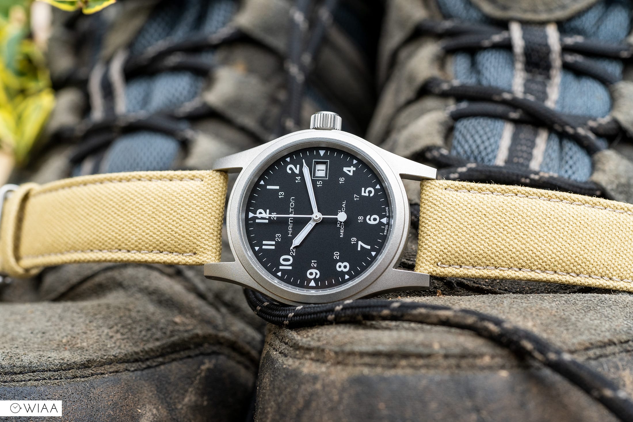 Hamilton Khaki Field Watch Review - 12&60